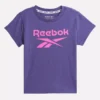 ID Big Logo T-shirt til børn