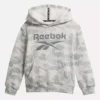 Reebok Identity Big Hoodie – Små børn
