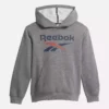 Reebok Identity Big Hoodie – Store børn