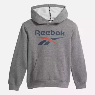 Reebok Identity Big Hoodie – Store børn