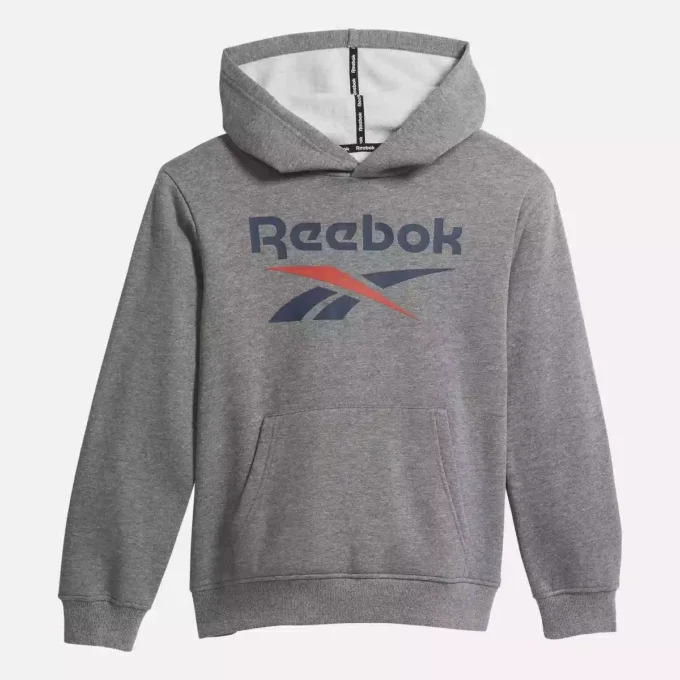 Reebok Identity Big Hoodie – Store børn