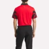 Signature Vector Colorblocked Polo Shirt til mænd
